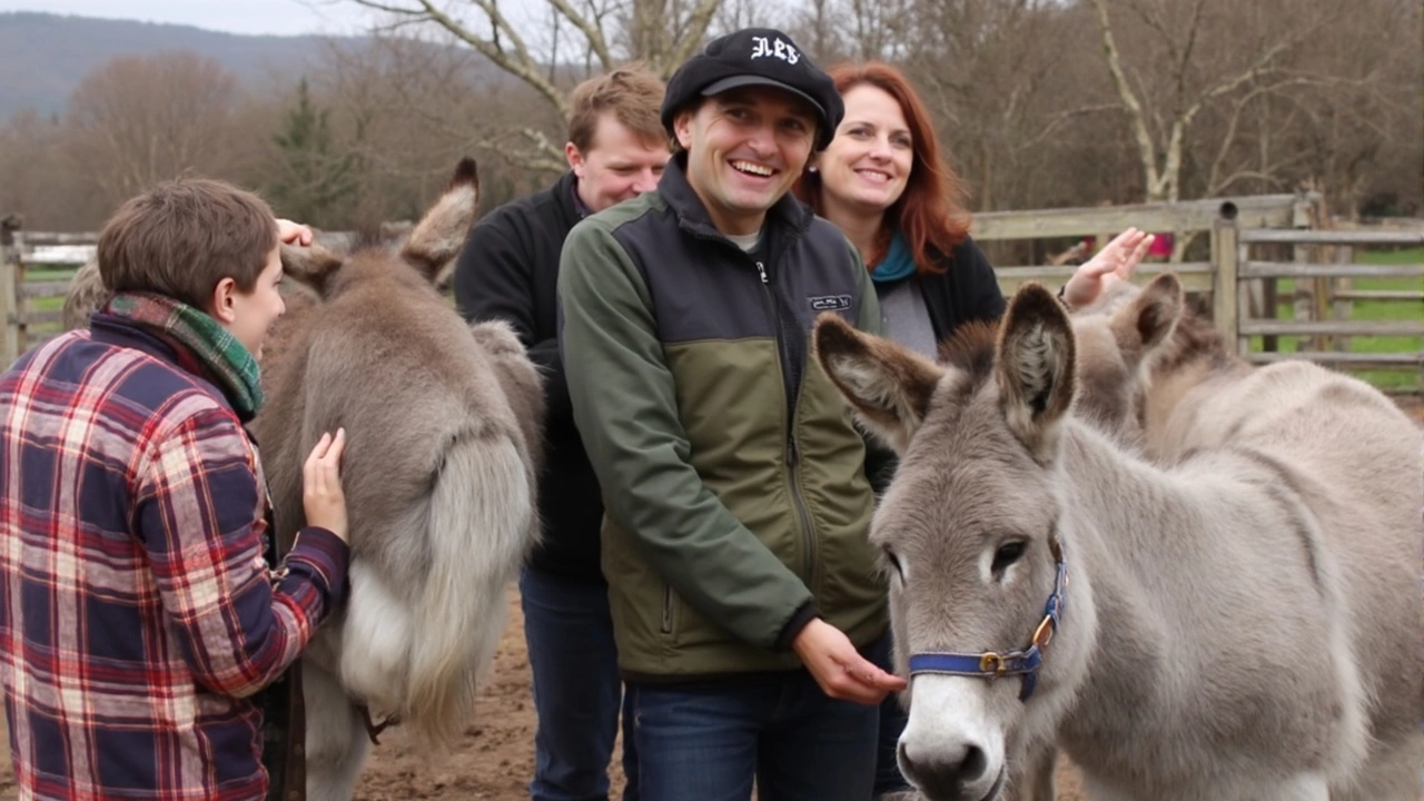 University of Exeter Innovates Academia with Unique Course on Donkeys in Film